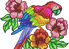 Stunning Parrots 003 7inch